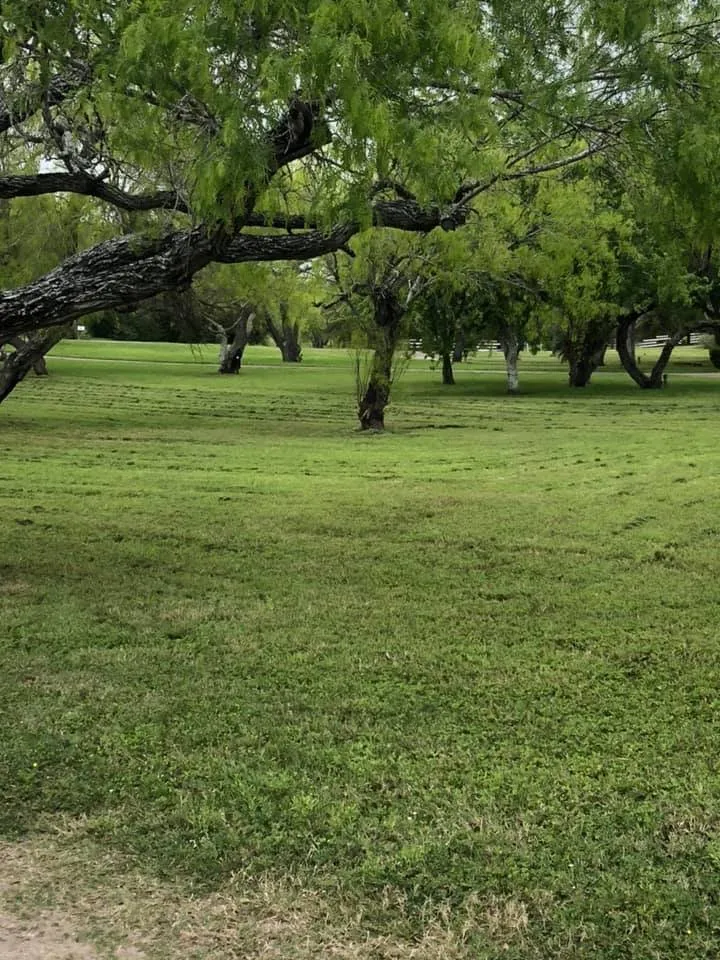 Expert landscape design in Corpus Christi, TX by Triple G Lawn Services