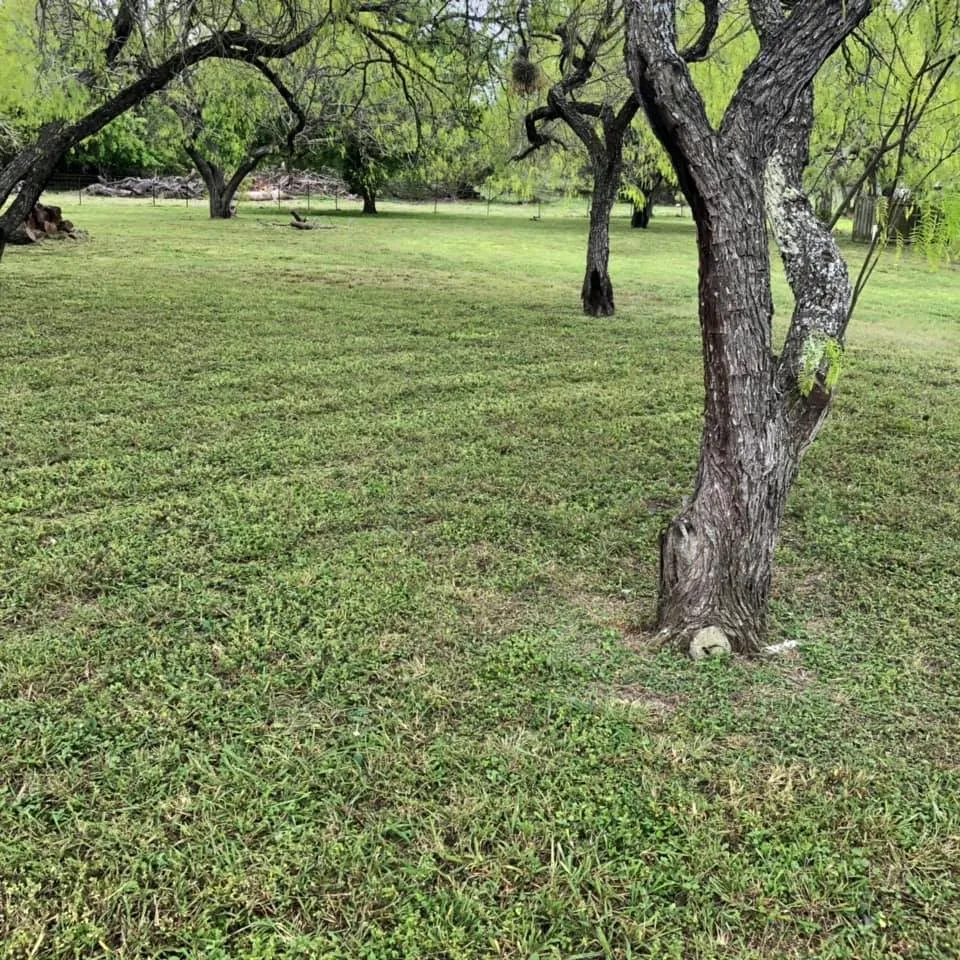 Trusted landscape design experts serving Corpus Christi, TX - Triple G Lawn Services