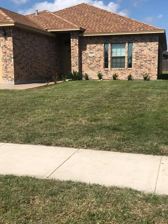 Affordable yard cleanup service experts serving Corpus Christi, TX - Triple G Lawn Services