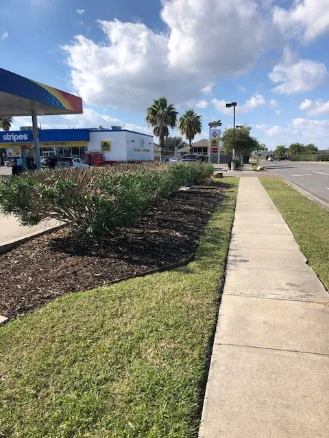 Trusted yard cleanup service experts serving Corpus Christi, TX - Triple G Lawn Services