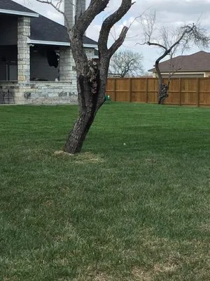 Triple G Lawn Services Logo