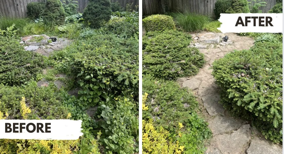 Professional landscape installation in Muncie, IN - Triple Green Lawn Care