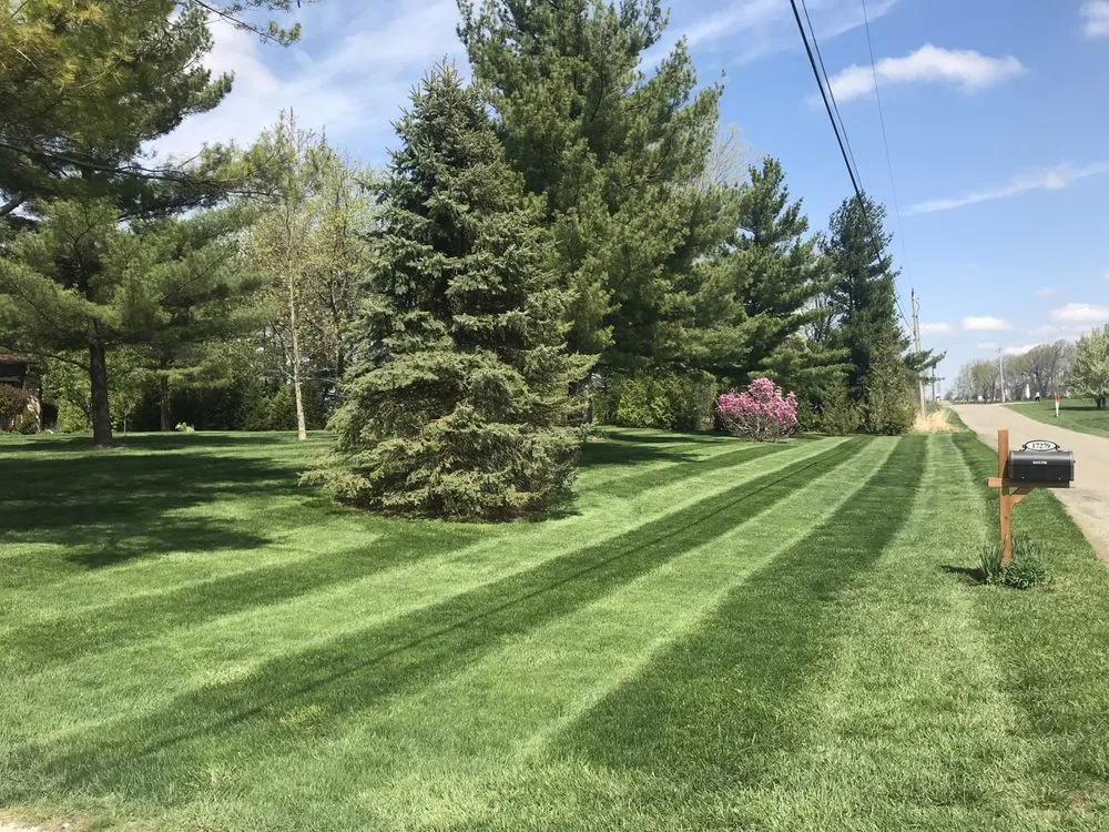 Affordable yard cleanup service experts serving Summitville, IN - Triple Green Lawn Care
