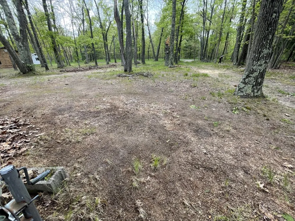 Reliable yard cleanup service in Bitely, MI by Triple HHH Cleaning