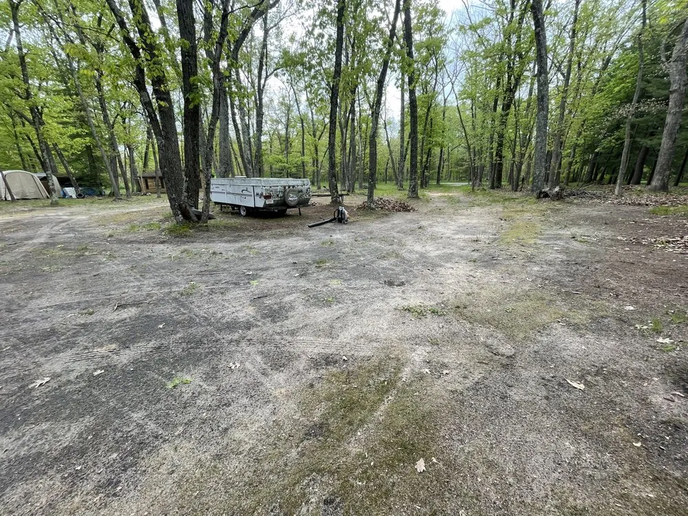 Top-rated outdoor landscaping near you across Bitely, MI - Triple HHH Cleaning