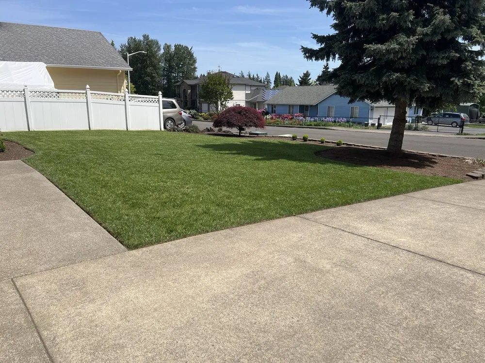 Reliable yard maintenance experts serving Keizer, OR - Triple J Contracting