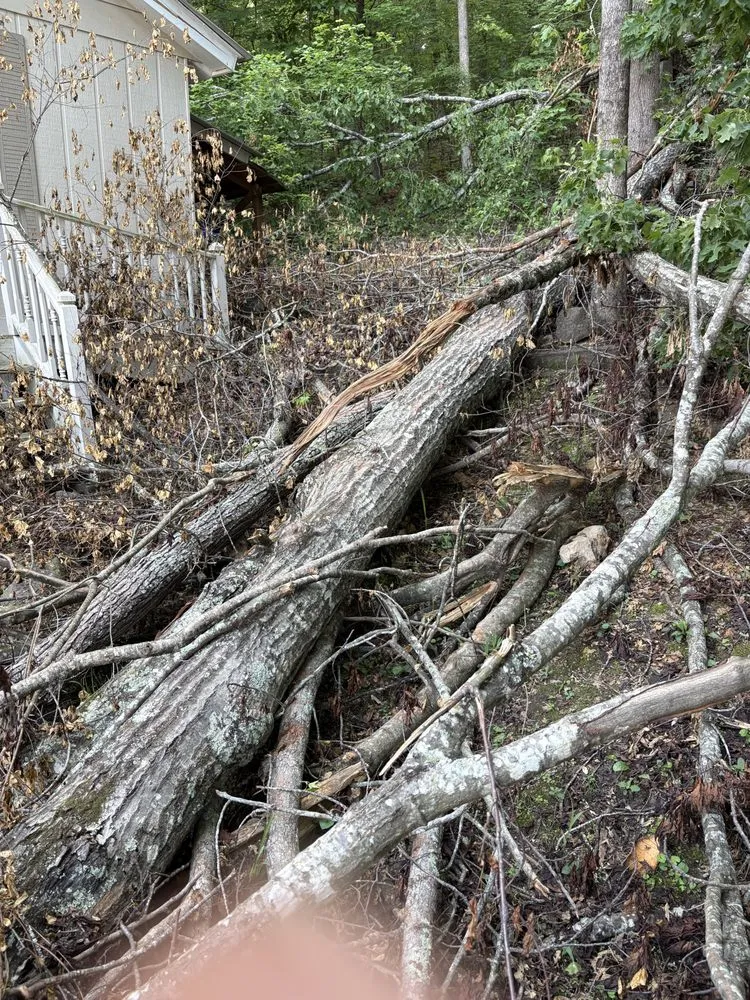 Custom landscape design with custom design in Helena, AL by Triple J Landscape & Construction