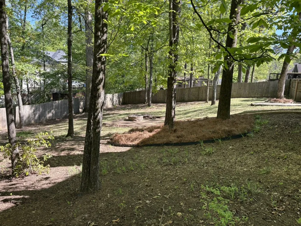 Top-rated yard cleanup service for residential properties in Helena, AL by Triple J Landscape & Construction