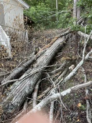 Triple J Landscape & Construction