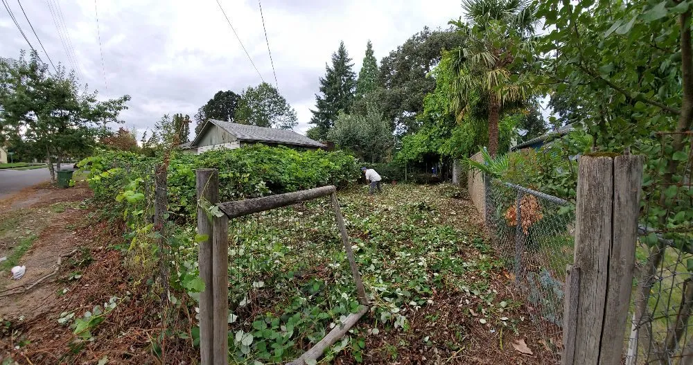 Professional yard maintenance in Keizer, OR - Triple J Landscape