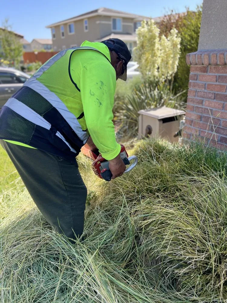 Top-rated garden landscaping with custom design across Stockton, CA - Triple J Landscape