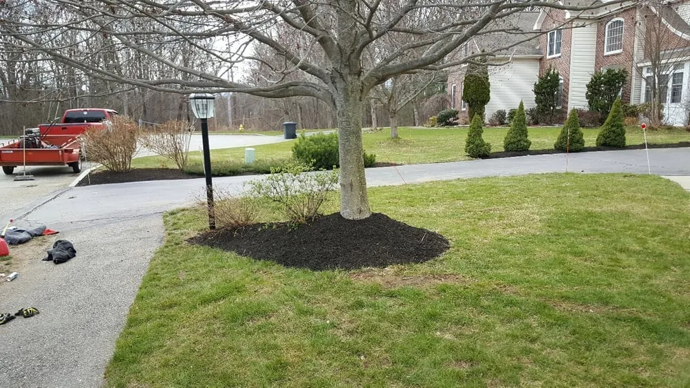 Expert yard maintenance experts serving Framingham, MA - Triple J Landscaping - James