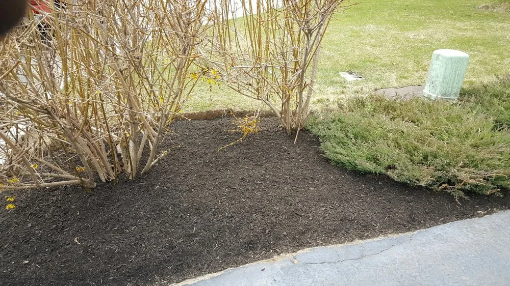 Reliable garden landscaping with custom design across Framingham, MA - Triple J Landscaping - James