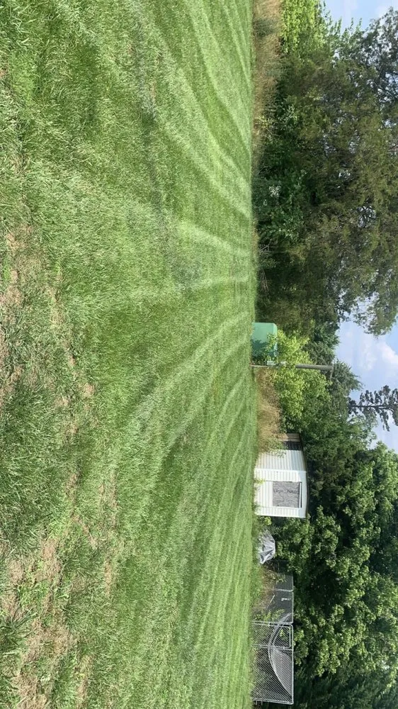 Expert residential landscaping experts serving Claremont, NC - Triple J Landscaping