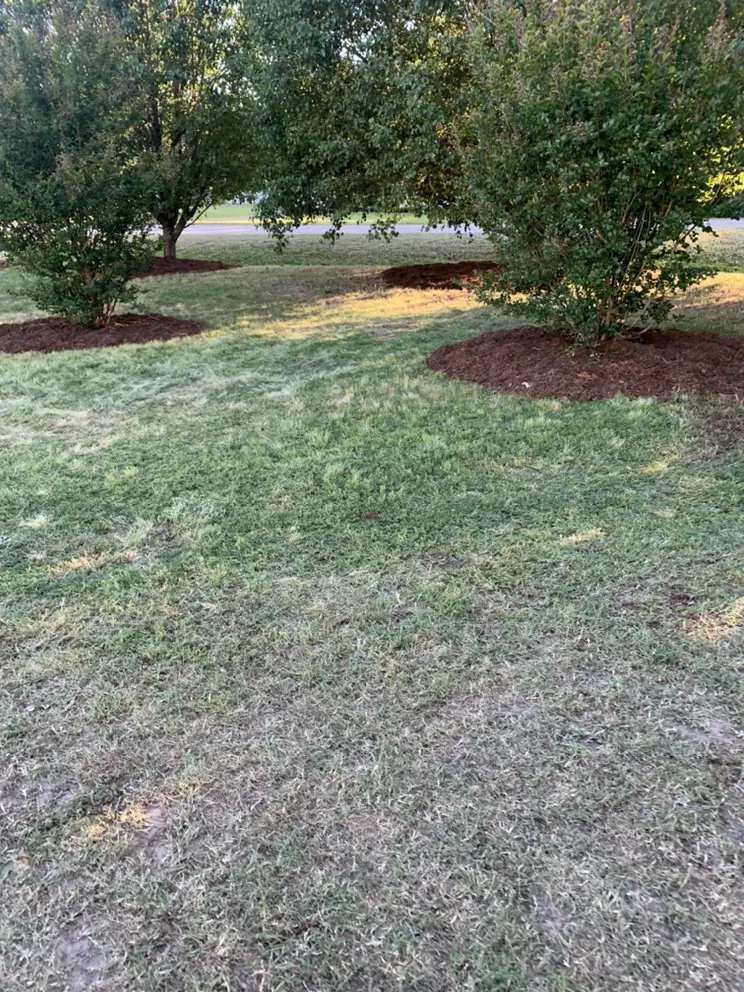 Affordable outdoor landscaping for year-round maintenance in Louisburg, NC by Triple J Landscaping