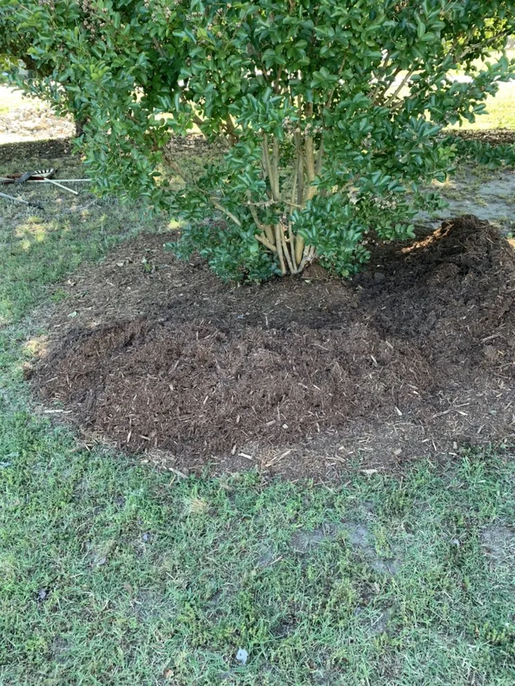 Top-rated outdoor landscaping for homes across Louisburg, NC - Triple J Landscaping