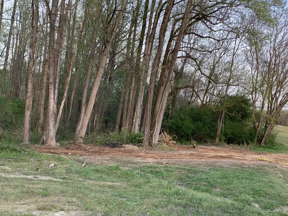 Top-rated yard cleanup service near you across Louisburg, NC - Triple J Landscaping