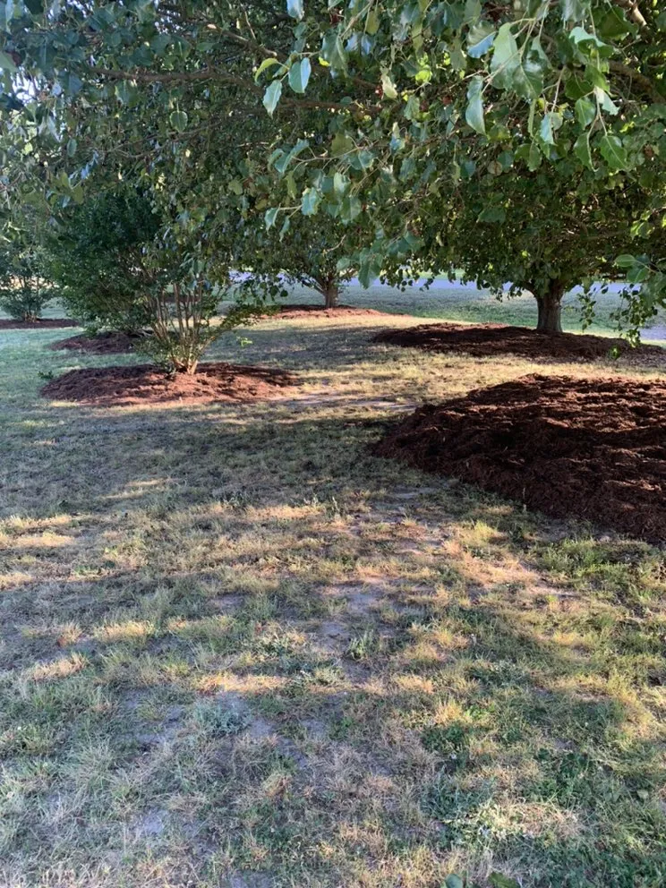 Expert garden landscaping in Louisburg, NC by Triple J Landscaping
