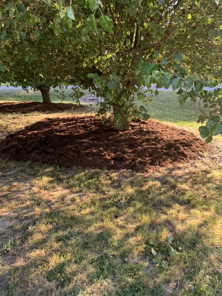 Custom garden landscaping in Louisburg, NC by Triple J Landscaping