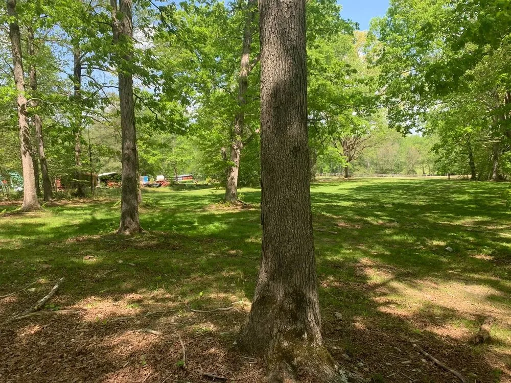 Professional lawn mowing service for outdoor upgrades in Louisburg, NC by Triple J Landscaping