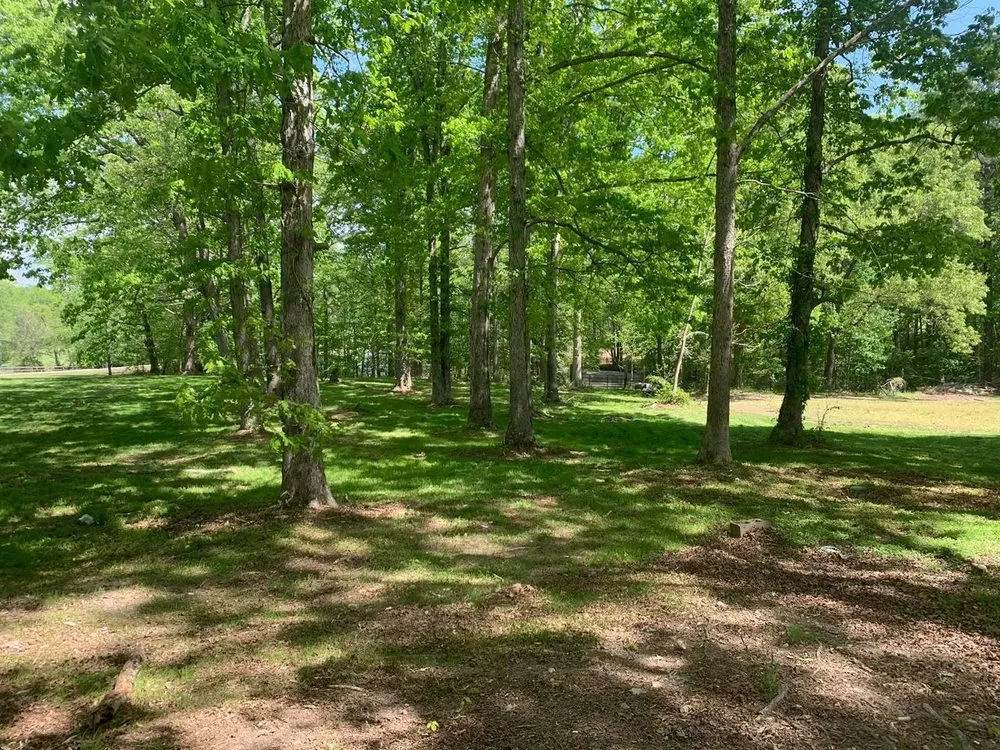 Expert lawn care service for year-round maintenance in Louisburg, NC by Triple J Landscaping