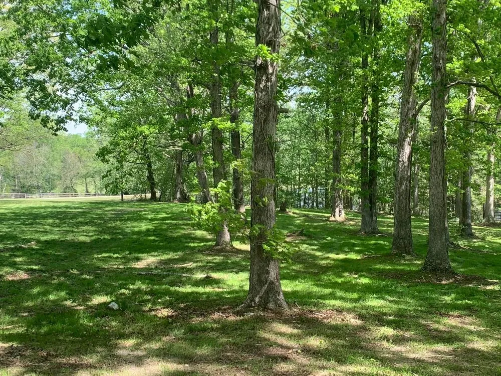 Expert garden landscaping experts serving Louisburg, NC - Triple J Landscaping