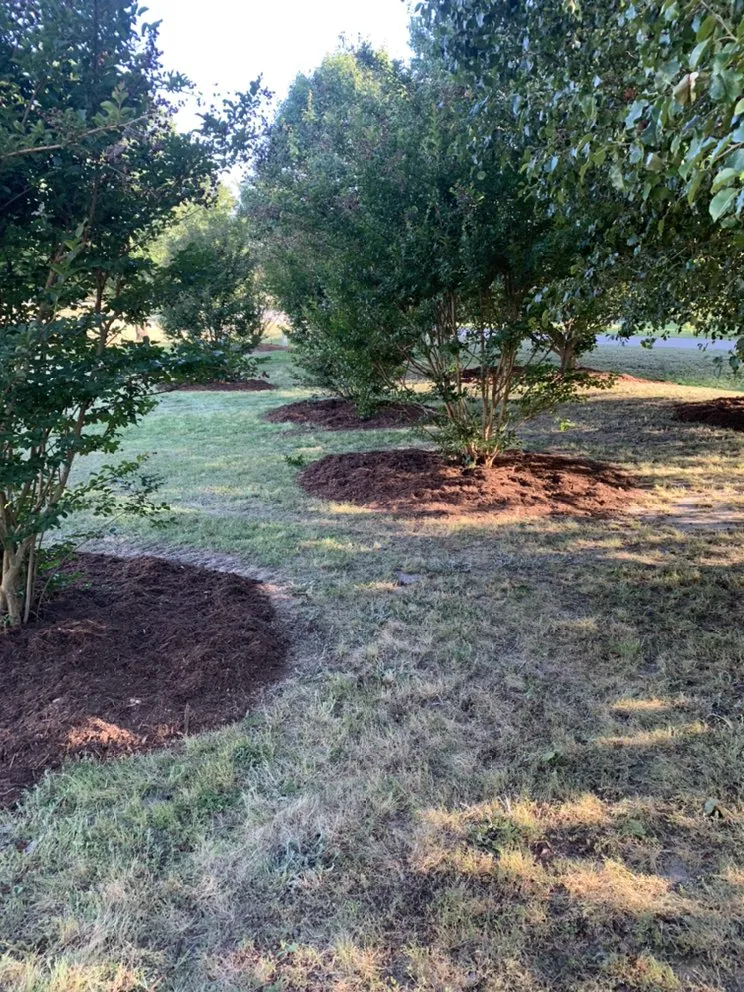 Expert lawn mowing service in Louisburg, NC by Triple J Landscaping