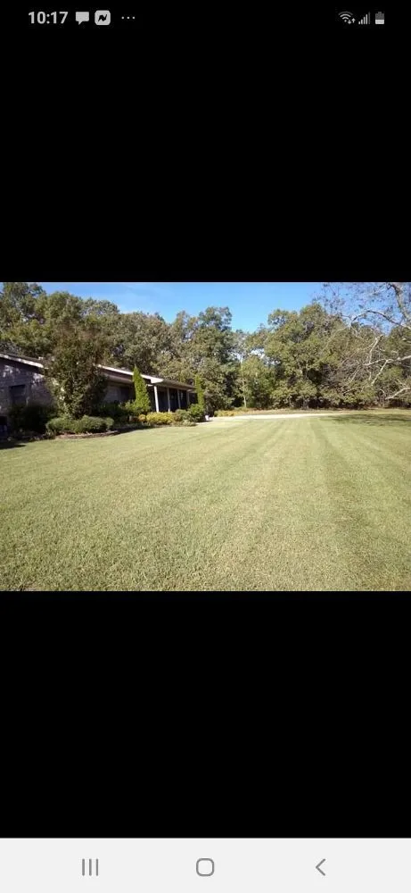 Top-rated outdoor landscaping for residential properties across Judsonia, AR - Triple J Lawn Care