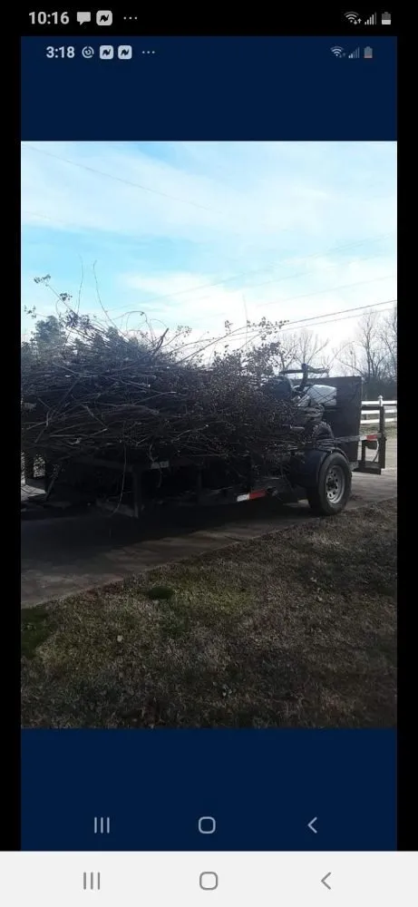 Trusted garden landscaping in Judsonia, AR by Triple J Lawn Care