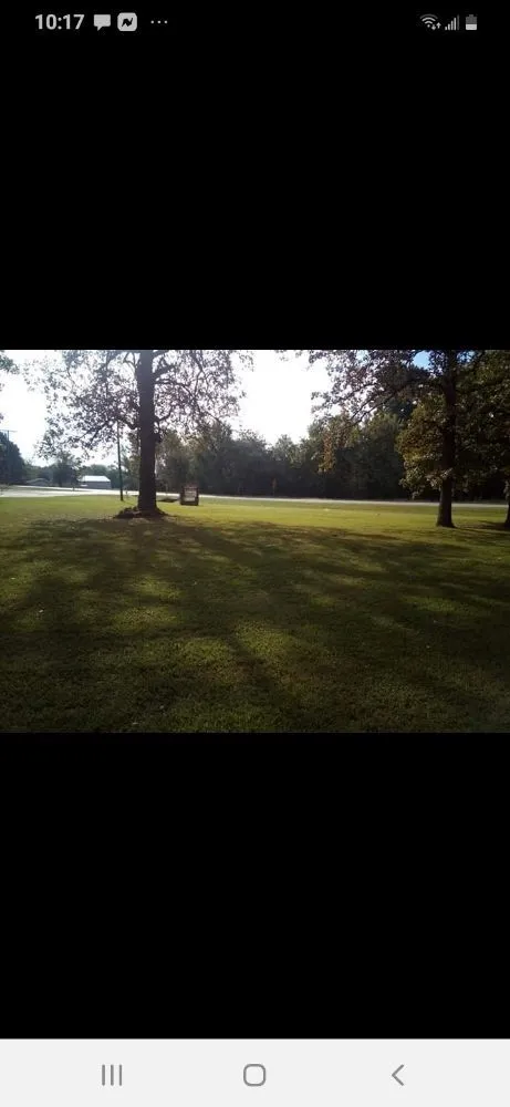 Professional yard cleanup service with custom design in Judsonia, AR by Triple J Lawn Care