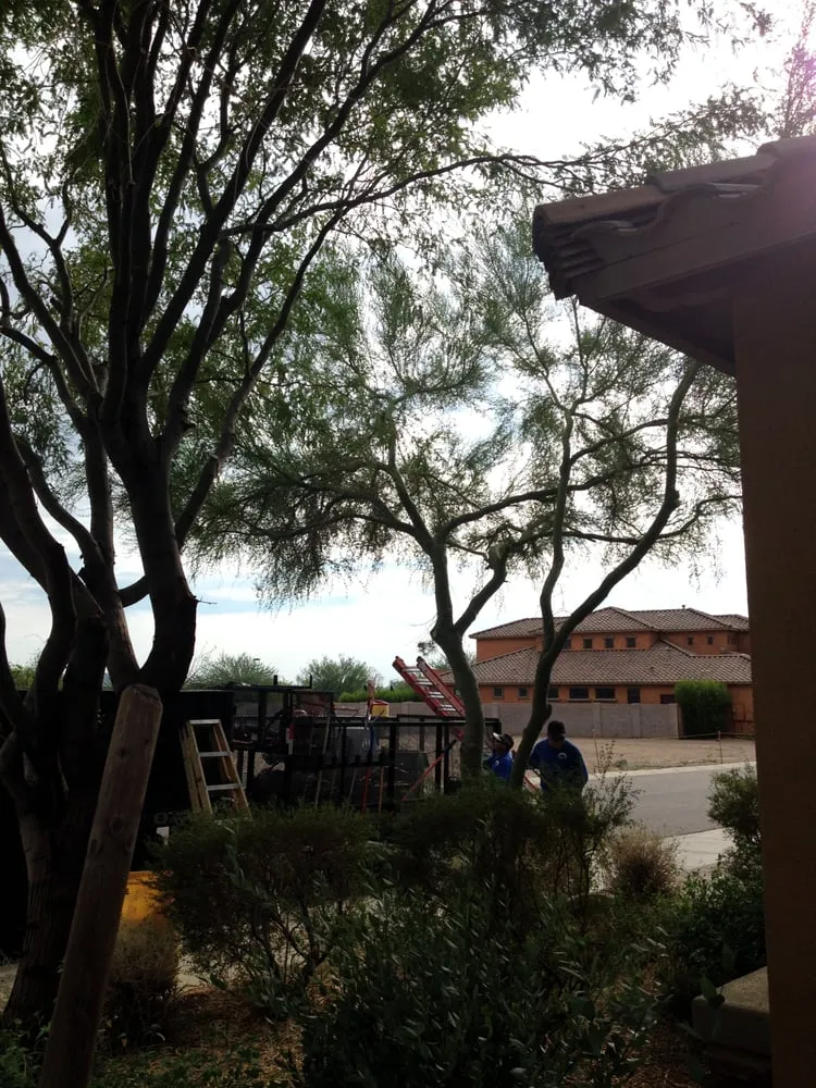 Expert residential landscaping experts serving Phoenix, AZ - Triple