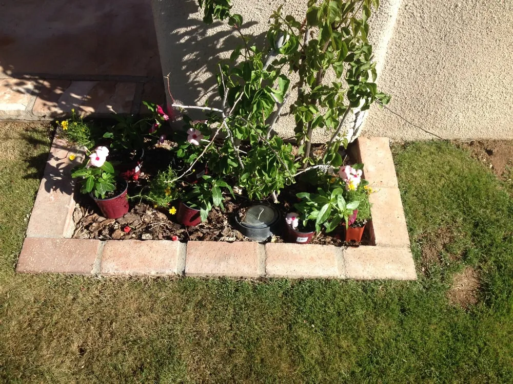 Reliable lawn care service near you in Phoenix, AZ by Triple