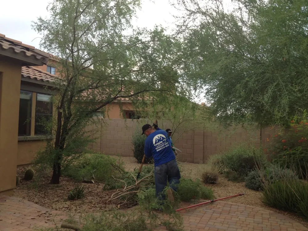 Professional lawn mowing service with custom design across Phoenix, AZ - Triple