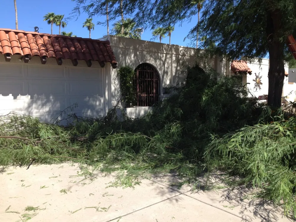 Trusted yard maintenance for beautiful yards across Phoenix, AZ - Triple