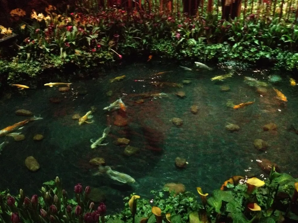 Professional yard cleanup service in Phoenix, AZ by Triple