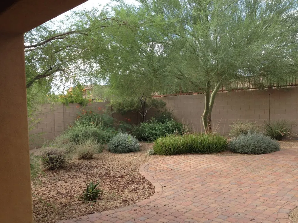 Reliable yard cleanup service in Phoenix, AZ - Triple
