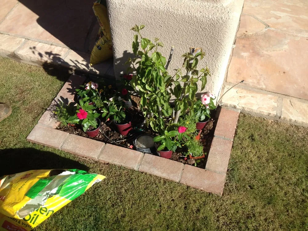 Reliable landscape design in Phoenix, AZ by Triple