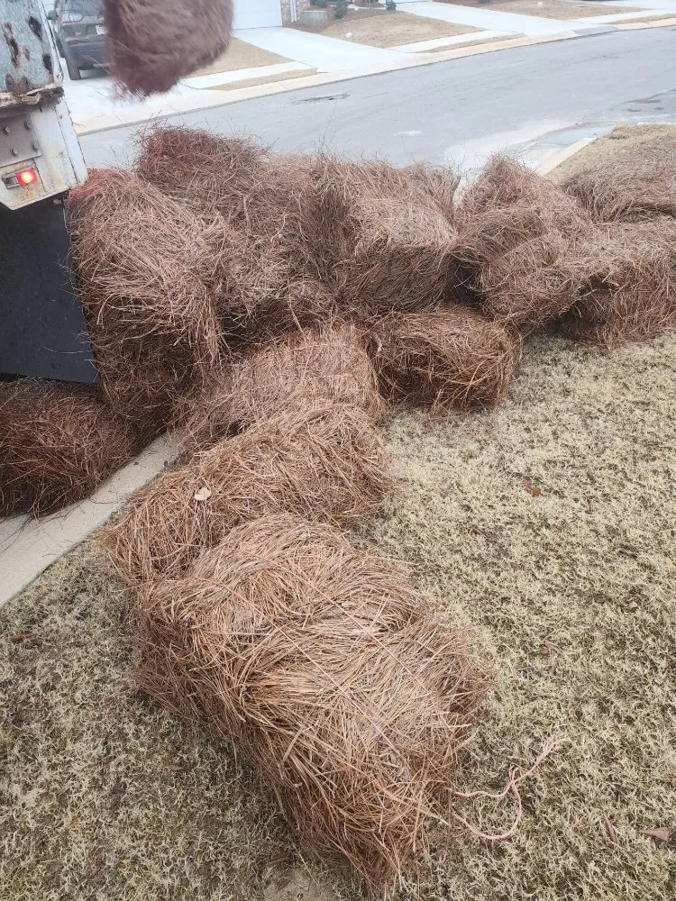 Custom lawn care service for residential properties across Manchester, GA - Triple J Lawn Services