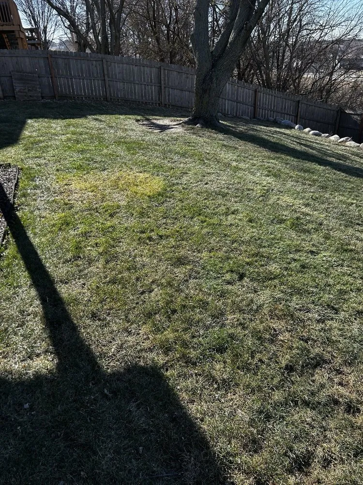 Professional landscape installation with custom design across Omaha, NE - Triple J Lawncare