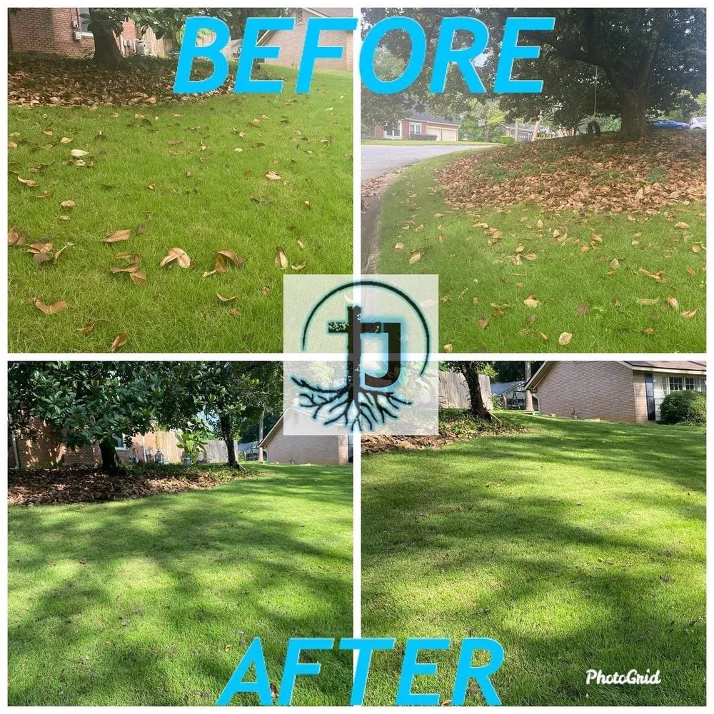 Affordable lawn care service in Cataula, GA - Triple J Services