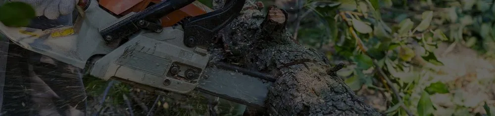 Professional landscape design in La Grange Park, IL - Triple J's Landscaping & Pavers