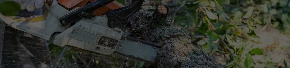 Local landscape design in La Grange Park, IL - Triple J's Landscaping & Pavers