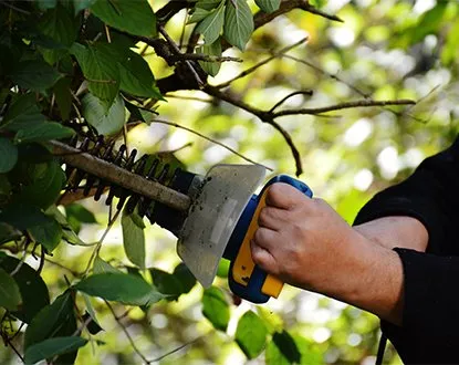 Custom landscape installation for homes across La Grange Park, IL - Triple J's Landscaping & Pavers