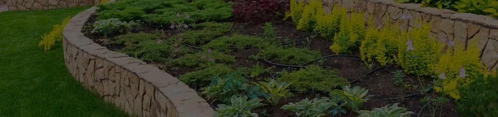 Expert yard maintenance in La Grange Park, IL by Triple J's Landscaping & Pavers