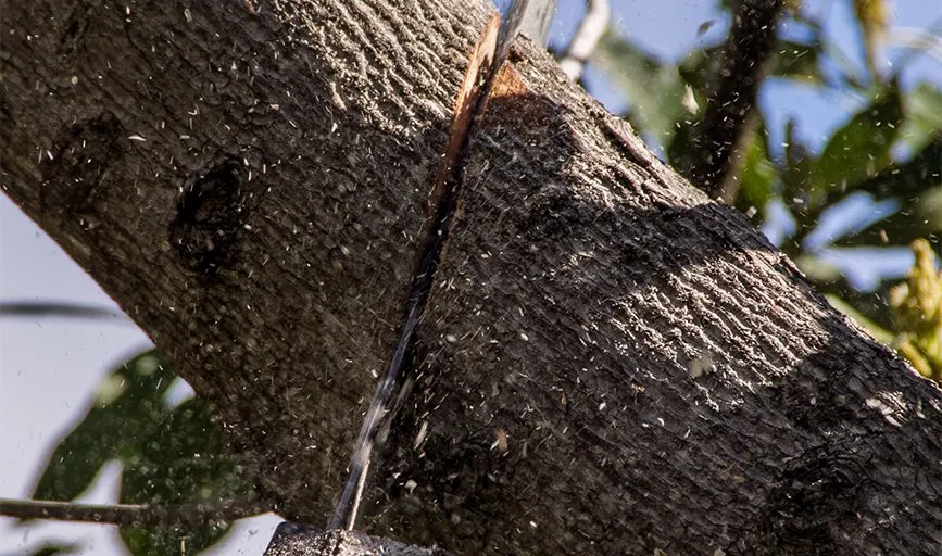 Expert garden landscaping in La Grange Park, IL - Triple J's Landscaping & Pavers