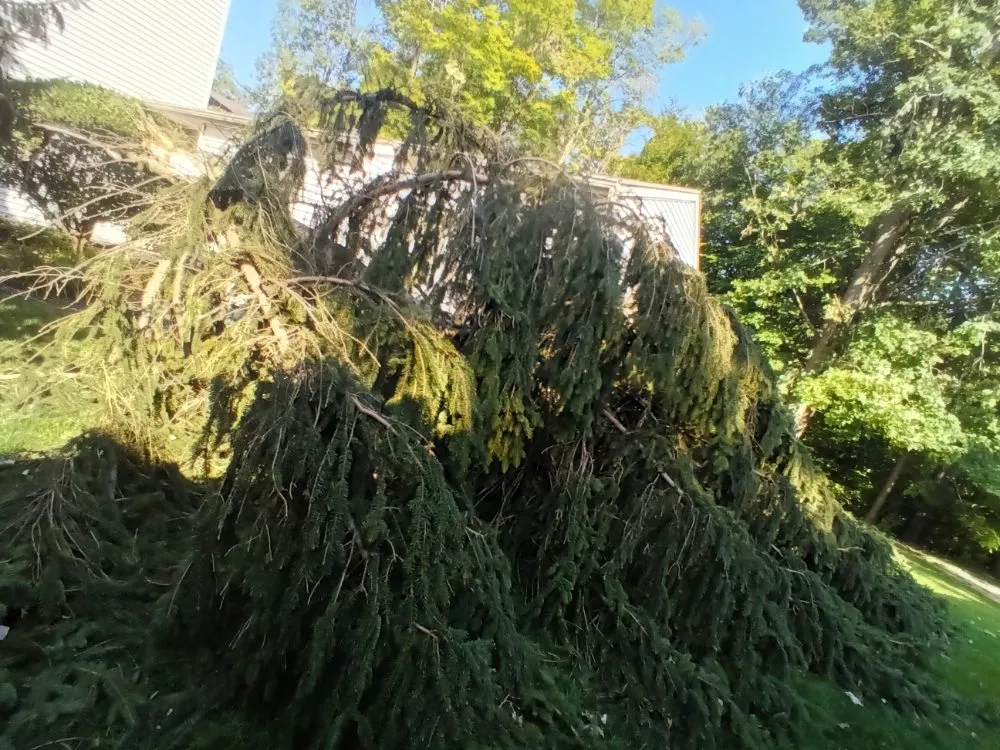 Custom residential landscaping in Holt, MI - Triple J's Lawn & Construction