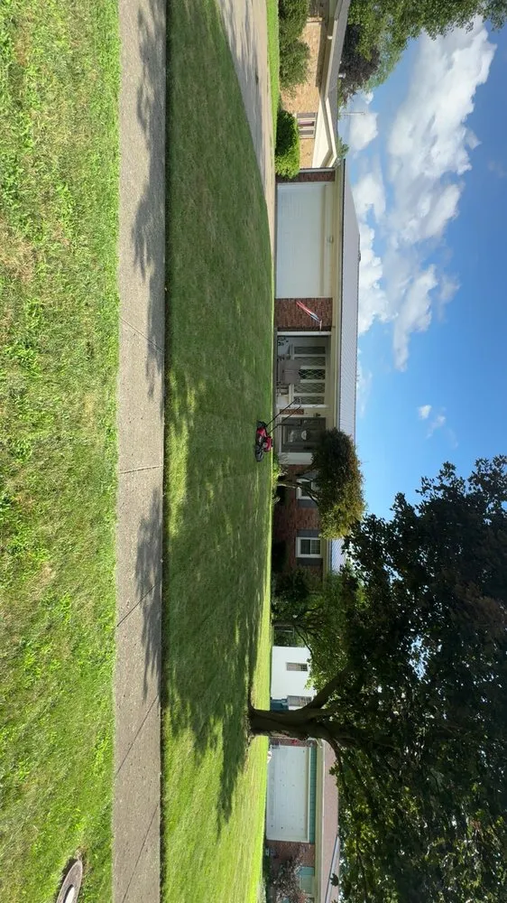 Top-rated yard cleanup service in Gas City, IN - Triple L