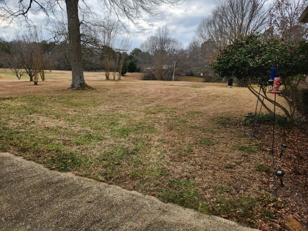 Expert yard maintenance experts serving Vinemont, AL - Triple L Lawn care