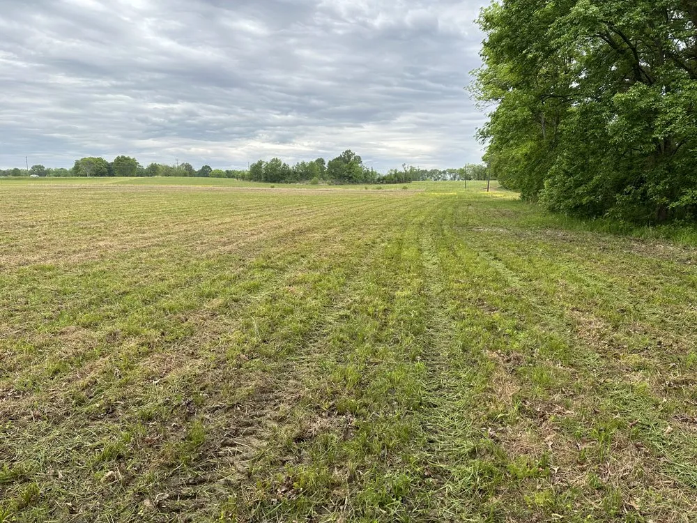 Top-rated yard maintenance near you in Madison, MS by Triple M & S Land Management