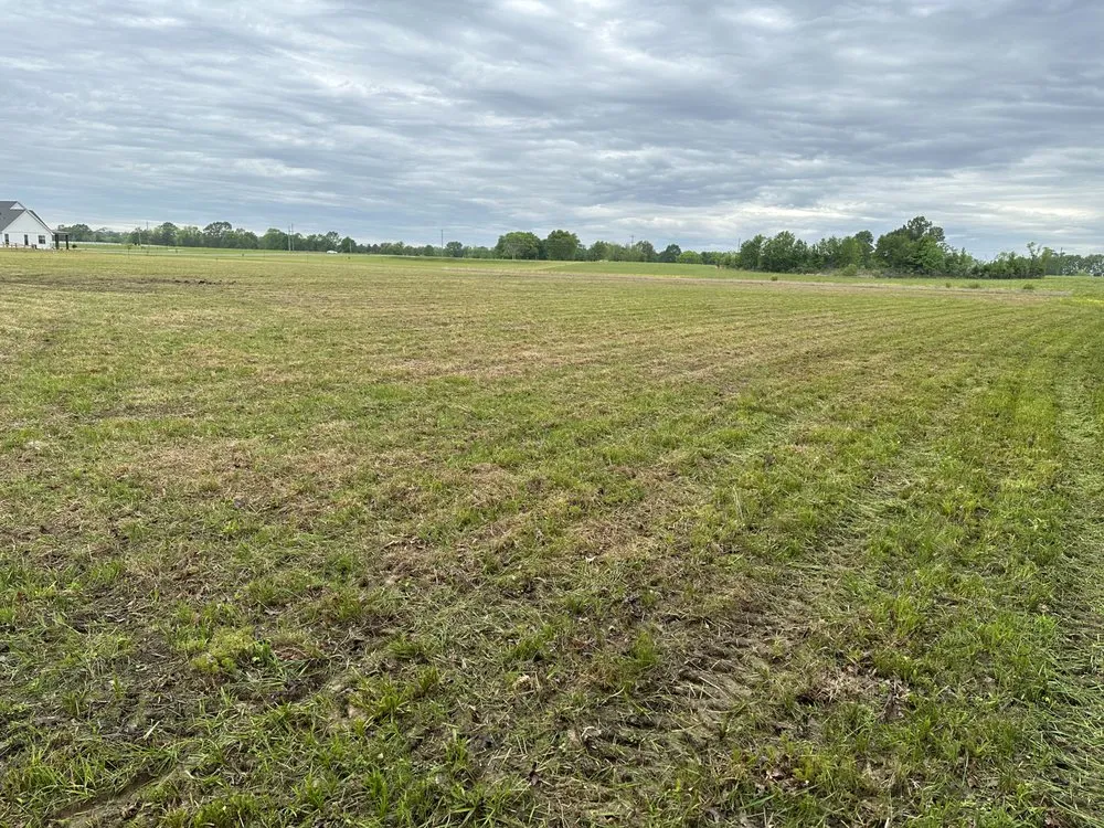 Local lawn mowing service in Madison, MS by Triple M & S Land Management